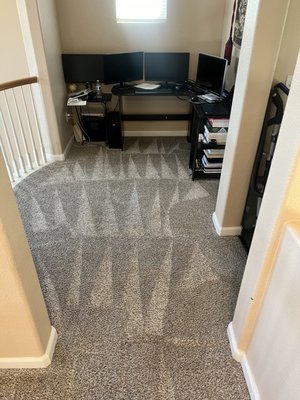 Summer cleaning! - Customer asked for house cleaning this is what he got Summer cleaning! - Customer asked for house cleaning this is what he got