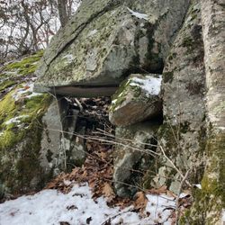 Crawley Preserve - A large glacial boulder outcrop that maybe has a cave ...  or a cold cellar?
