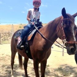 Hillcrest Ranch