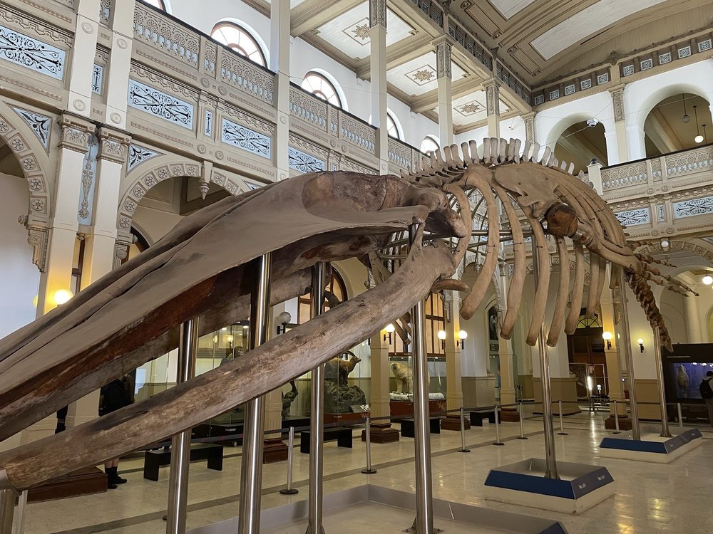 Museo de Ciencia y Tecnología