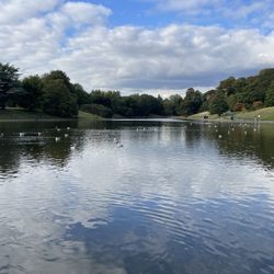 Sefton Park - Boating Lake