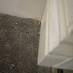 More Than Handy - Baseboard discoloration