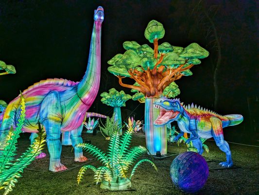 Nashville Zoo at Grassmere by null