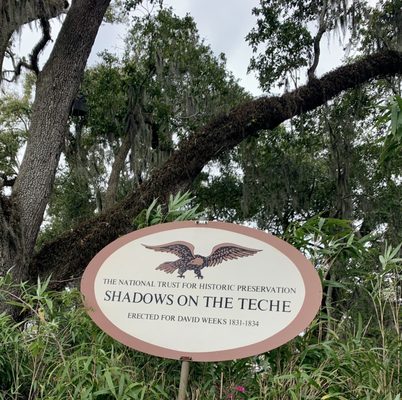 Shadows-on-the-Teche by null