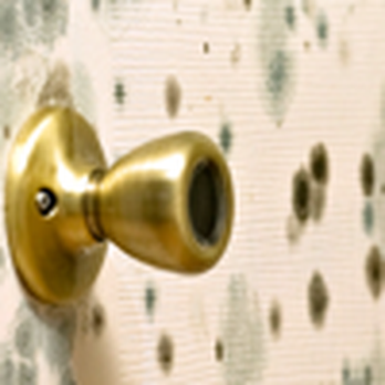 The Texas Inspector - Home Inspectors Near Me The Texas Inspector - Home Inspectors Near Me