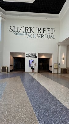 Shark Reef Aquarium at Mandalay Bay by null