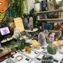 Crystal Habitz
