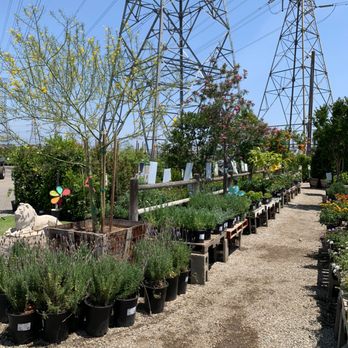 Garden View Nursery - Nurseries & Gardening Near Me - Irwindale, California