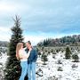 Photo of Coates Christmas Trees Farm