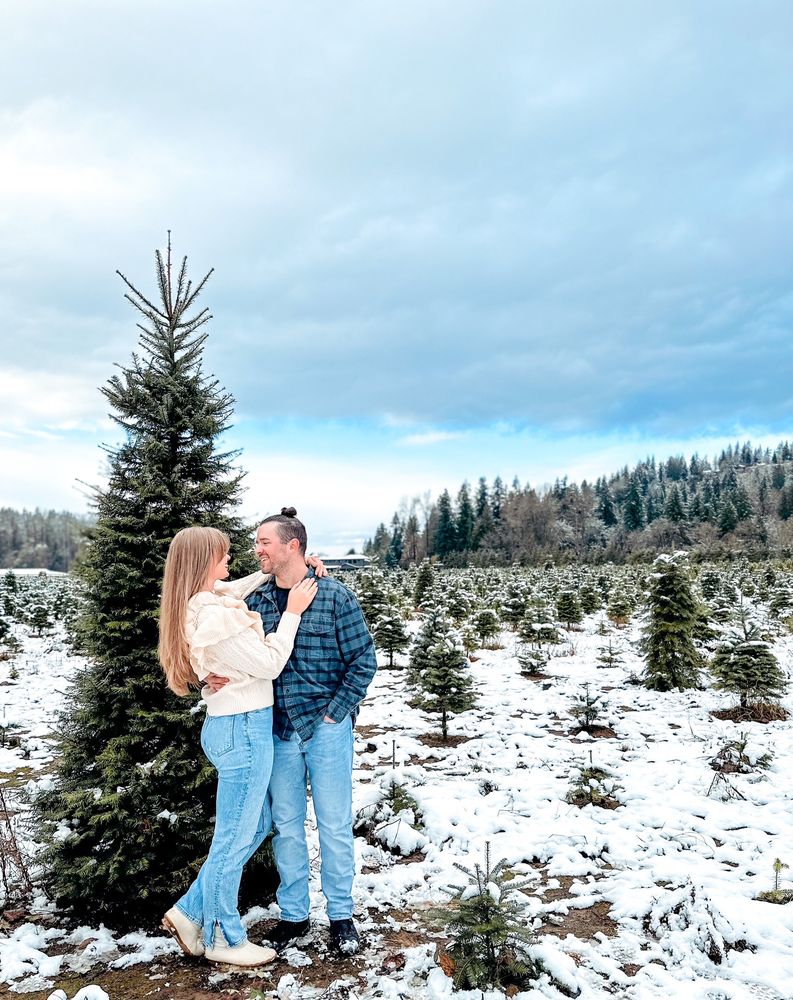 COATES CHRISTMAS TREES FARM Updated October 2024 48 Photos & 49