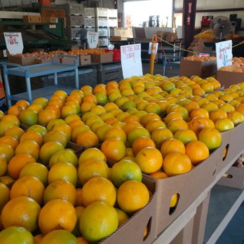 Cornejo's Produce Stand - Oranges - these are sold by the box. - Fruits & Veggies Near Me - Fillmore-Piru, California Cornejo's Produce Stand - Oranges - these are sold by the box. - Fruits & Veggies Near Me - Fillmore-Piru, California
