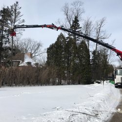 Peterson's Tree Care