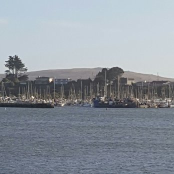 Bodega Dunes Campgrounds - Campgrounds Near Me - Bodega Bay, California