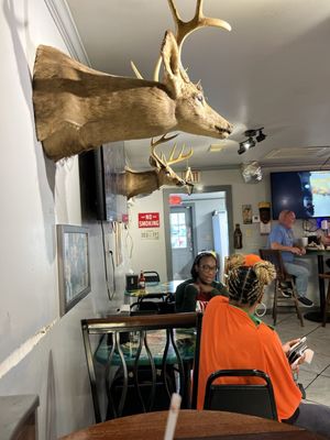 Elwood's Shack by null