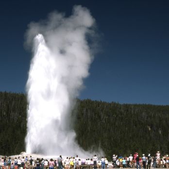 GaperGuide - Old Faithful - Tours Near Me GaperGuide - Old Faithful - Tours Near Me