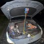 Photo of Daily Driver Mobile Mechanic