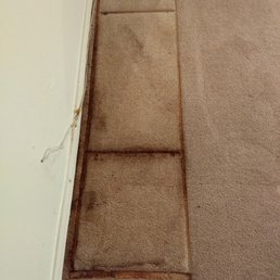 This was the carpet after they moved the display case.