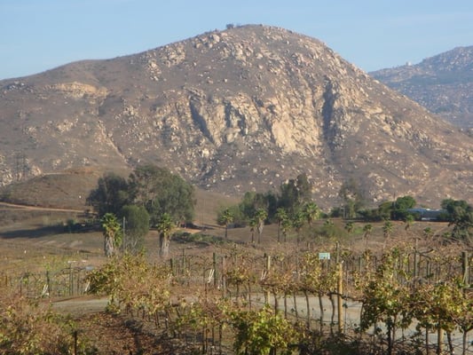 Orfila Vineyards and Winery by null