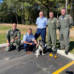 AAAC Wildlife Removal of Mobile - Taz taking a break from hazing geese at the Coast Guard and getting some extra attention.
