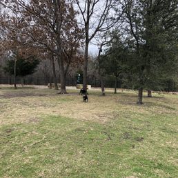 The back of the small dog park has some trees. The pugs loved it. The back of the small dog park has some trees. The pugs loved it.
