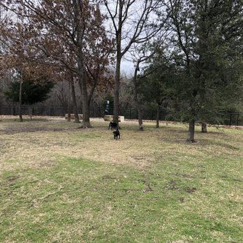 Northbark Dog Park - The back of the small dog park has some trees. The pugs loved it. - Dog Parks Near Me - Dallas, Texas Northbark Dog Park - The back of the small dog park has some trees. The pugs loved it. - Dog Parks Near Me - Dallas, Texas