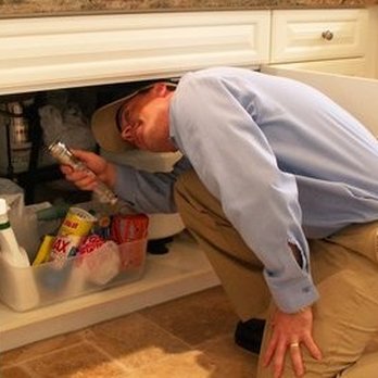 VTEG Pest Management Solutions - Pest Control Near Me VTEG Pest Management Solutions - Pest Control Near Me
