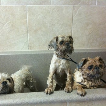 Howlistic - We love Howlistic!!! - Pet Stores Near Me - San Diego, California Howlistic - We love Howlistic!!! - Pet Stores Near Me - San Diego, California