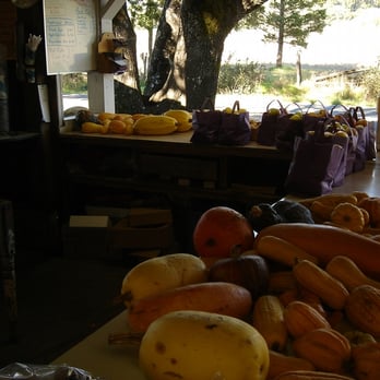 Grace's Oak Tree - Food Stands Near Me - Philo, California