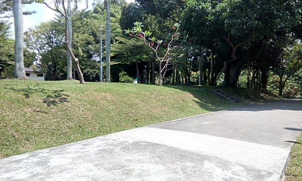 Mount Emily Park by null