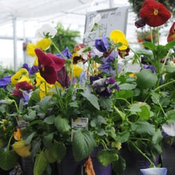 Stockdale's - The Best Garden Center in town!