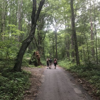 Old Rag Mountain - Hiking Near Me