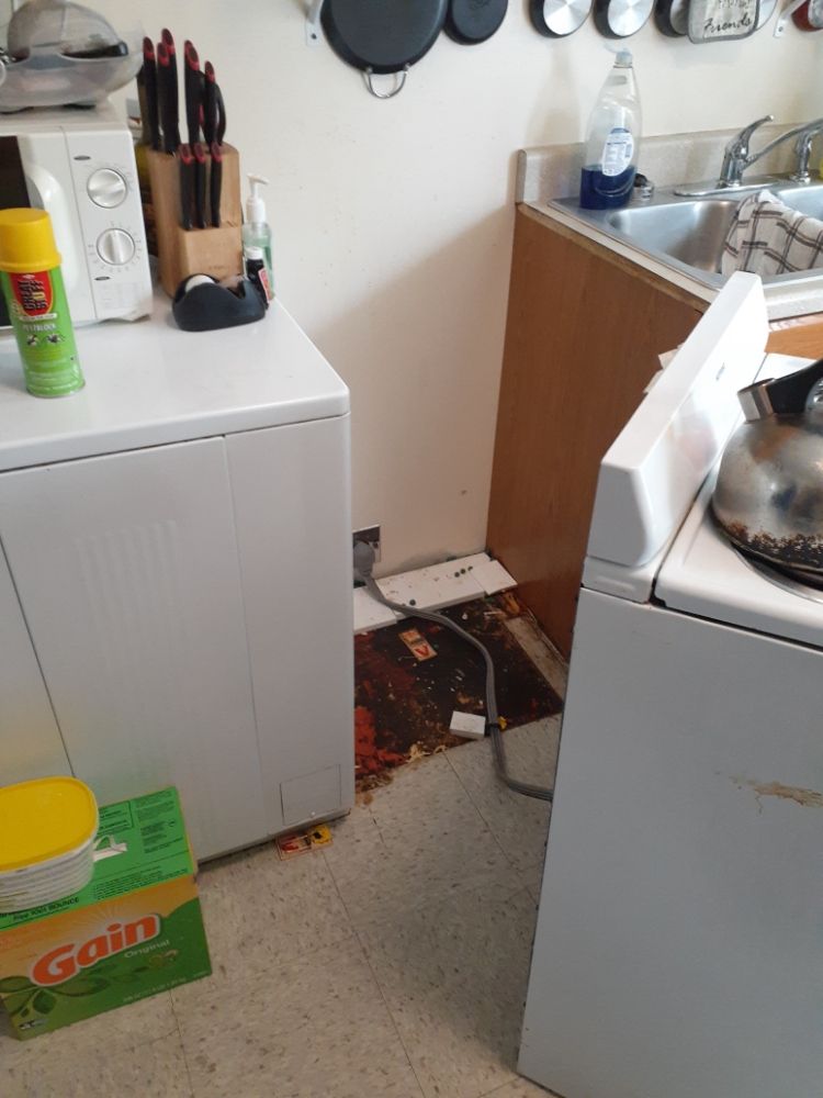 Slide of Mikes Maintenance and More