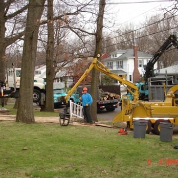 Grimshaw Tree Service and Nursery - Tree Services Near Me