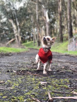 Bayview Park by null