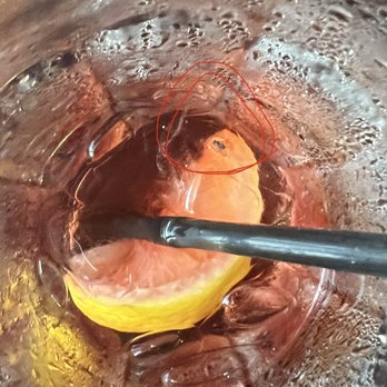 Taverna Kyma - Bugs in our drinks which we still had to pay for and we're not replaced!!! - Greek Near Me - Boca Raton, Florida Taverna Kyma - Bugs in our drinks which we still had to pay for and we're not replaced!!! - Greek Near Me - Boca Raton, Florida