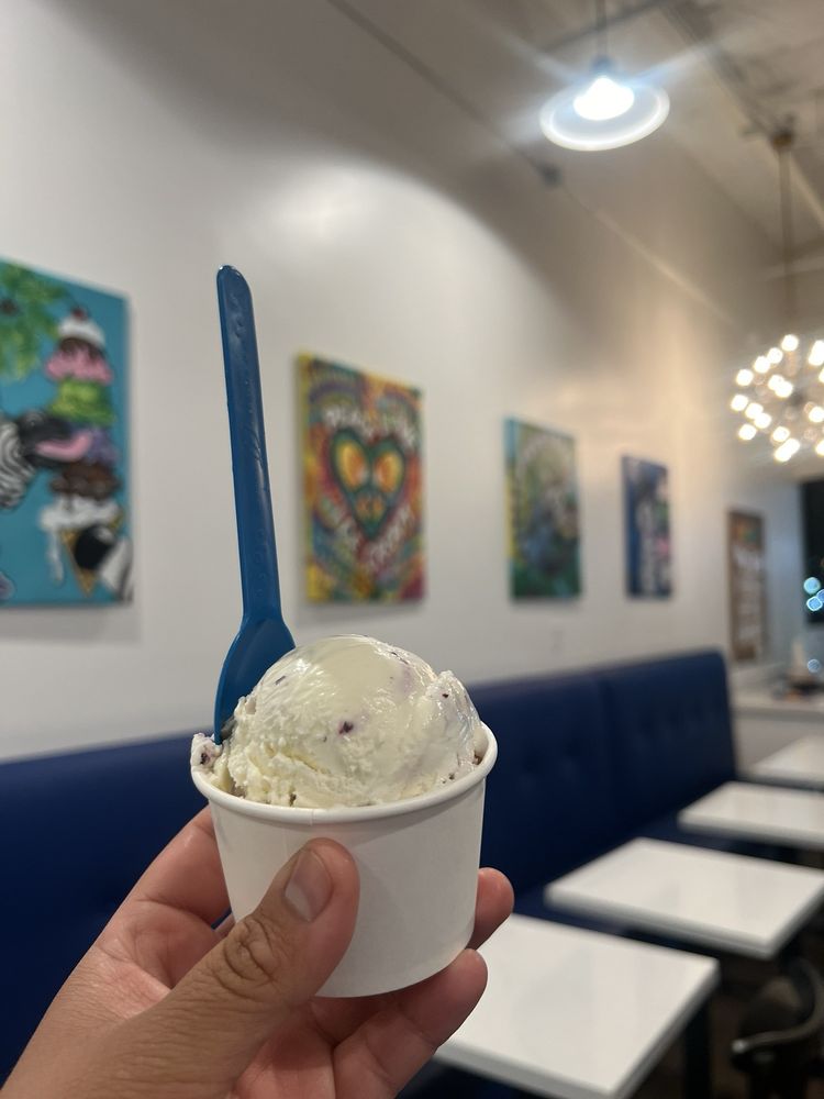 BLUE SCOOP CREAMERY Updated June 2024 44 Photos & 43 Reviews 391