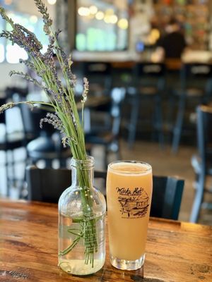 Witch's Hat Brewing Company by null