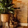 Photo of Waves Yoga Studio