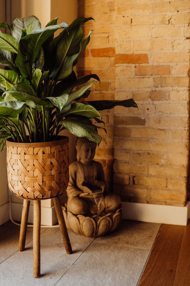 Waves Yoga Studio Logo