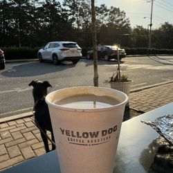Yellow Dog Coffee Roasters - Hot coffee