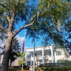 Mount Dora City Hall