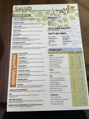 Iguana On Park by null