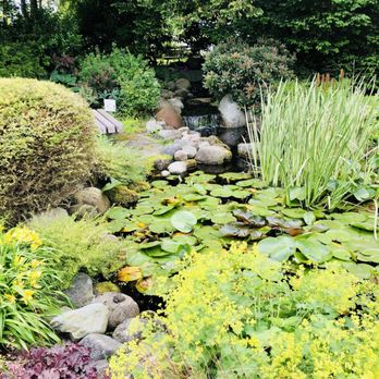 Kirkland House - Small stream with water lily pond - Venues & Event Spaces Near Me - Delta, British Columbia Kirkland House - Small stream with water lily pond - Venues & Event Spaces Near Me - Delta, British Columbia
