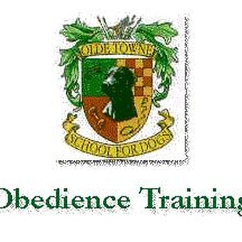 Olde Towne School For Dogs - Pet Stores Near Me - Alexandria, Virginia