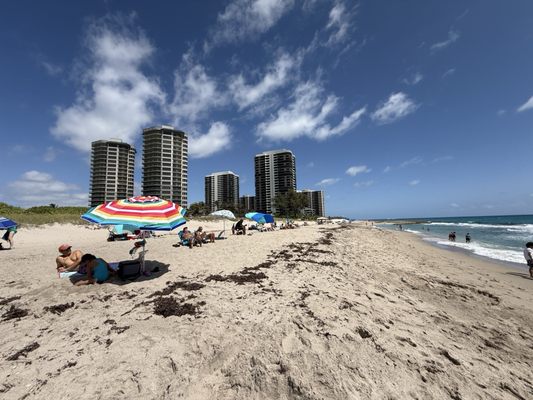 Ocean Reef Park by null