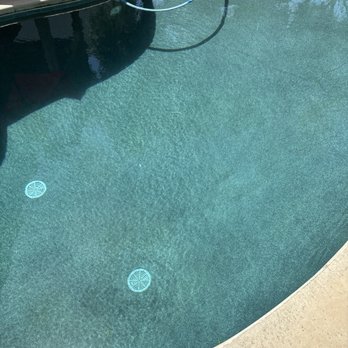 Excellence Pool Service - Summer ready, pool serviced. - Pool Cleaners Near Me