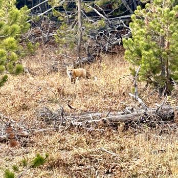 Teton Science School - Tours Near Me - Jackson, Wyoming