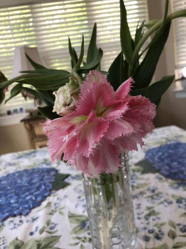 HENPECKED HUSBAND NURSERY Updated October 2024 1254 Northville