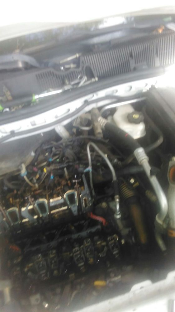 Slide of Brown's Maintenance