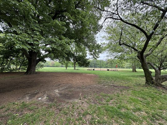 The Great Lawn by null